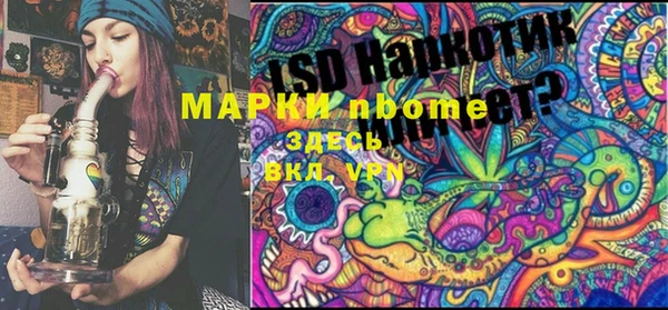 ГАЛЛЮЦИНОГЕННЫЕ ГРИБЫ Ладушкин