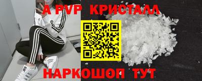 СК Ставрополь
