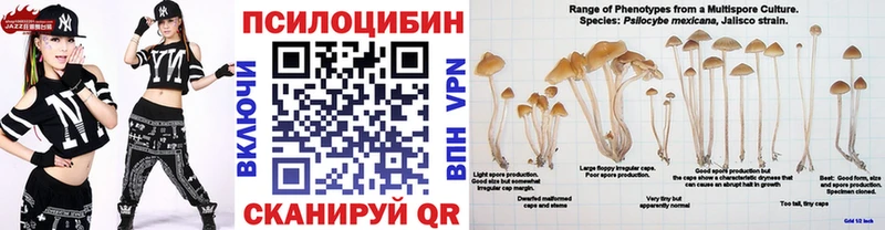 Псилоцибиновые грибы Cubensis Курганинск